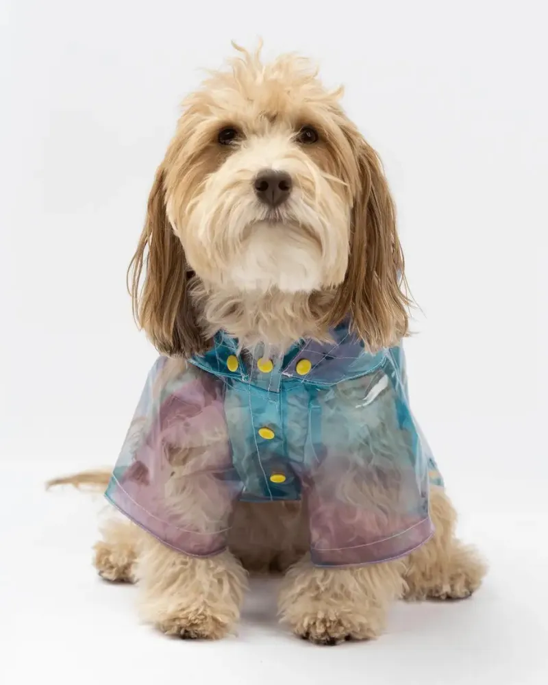 Kinney Translucent Dog Raincoat (FINAL SALE)