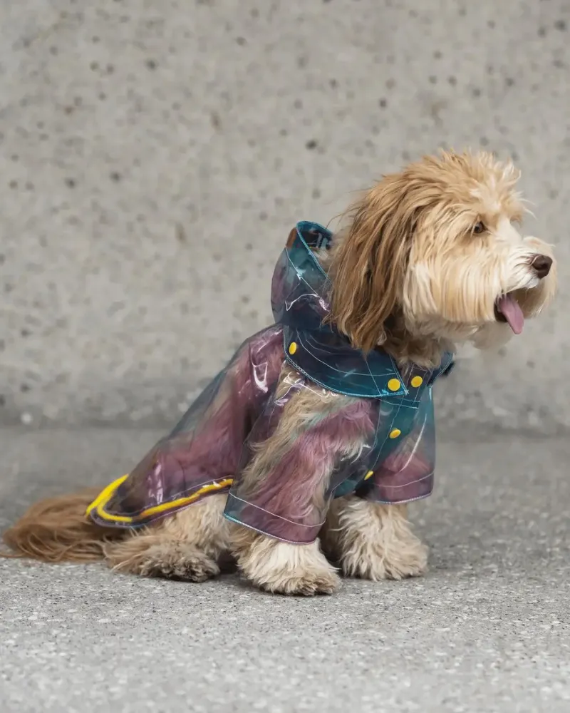 Kinney Translucent Dog Raincoat (FINAL SALE)