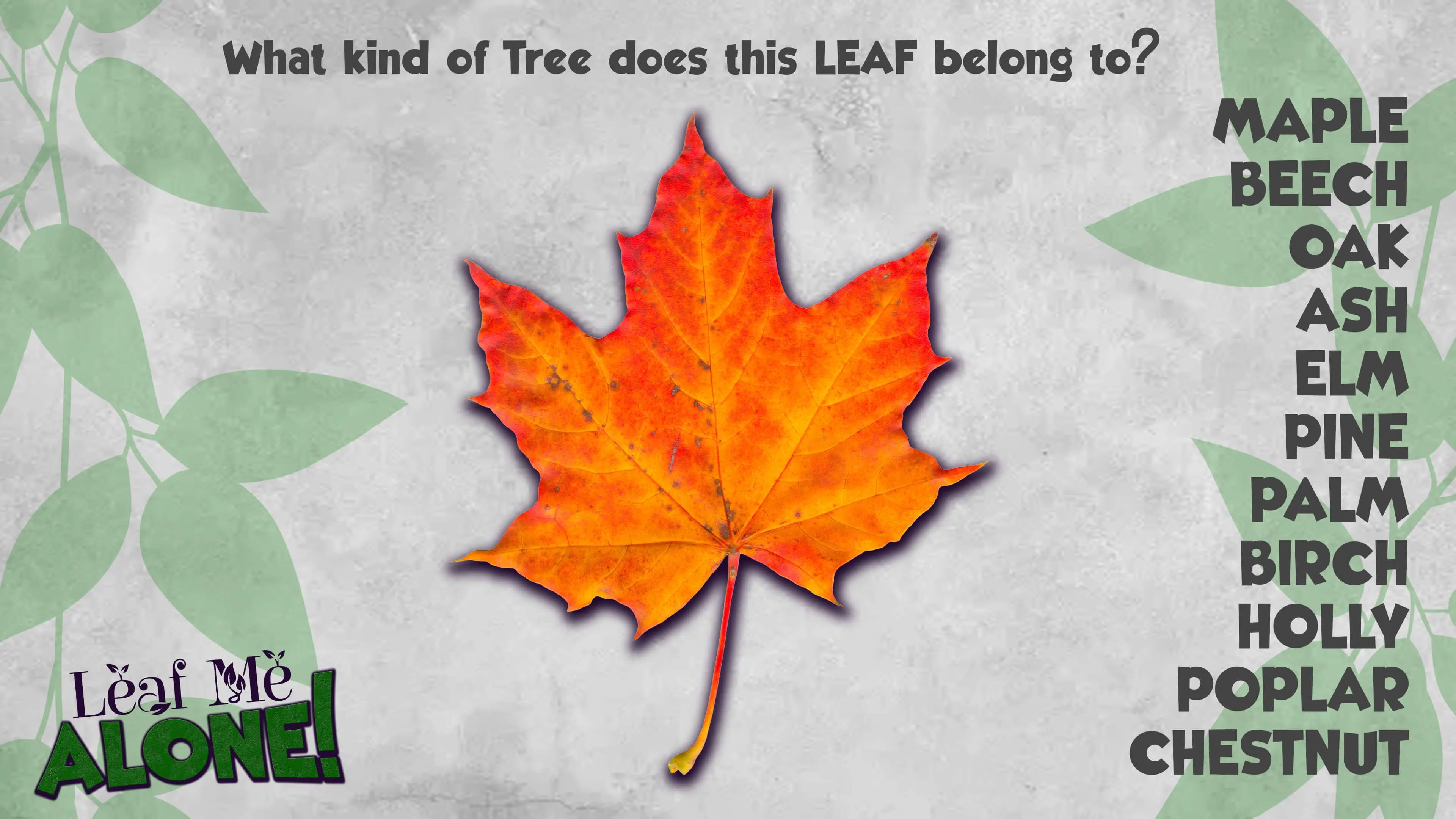 Leaf Me Alone!