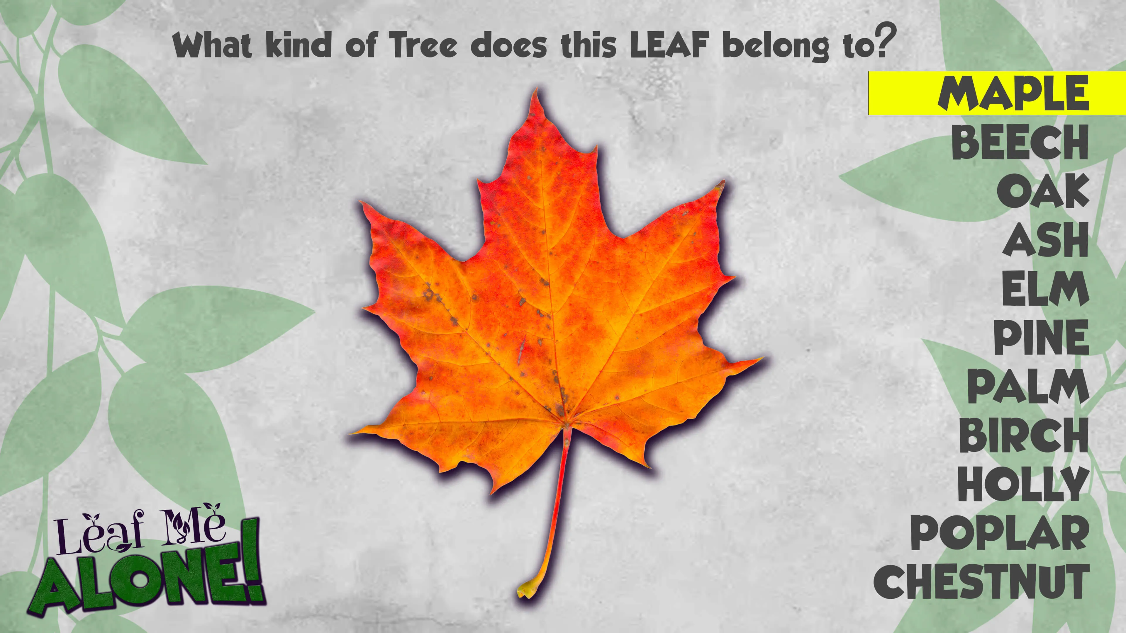 Leaf Me Alone!