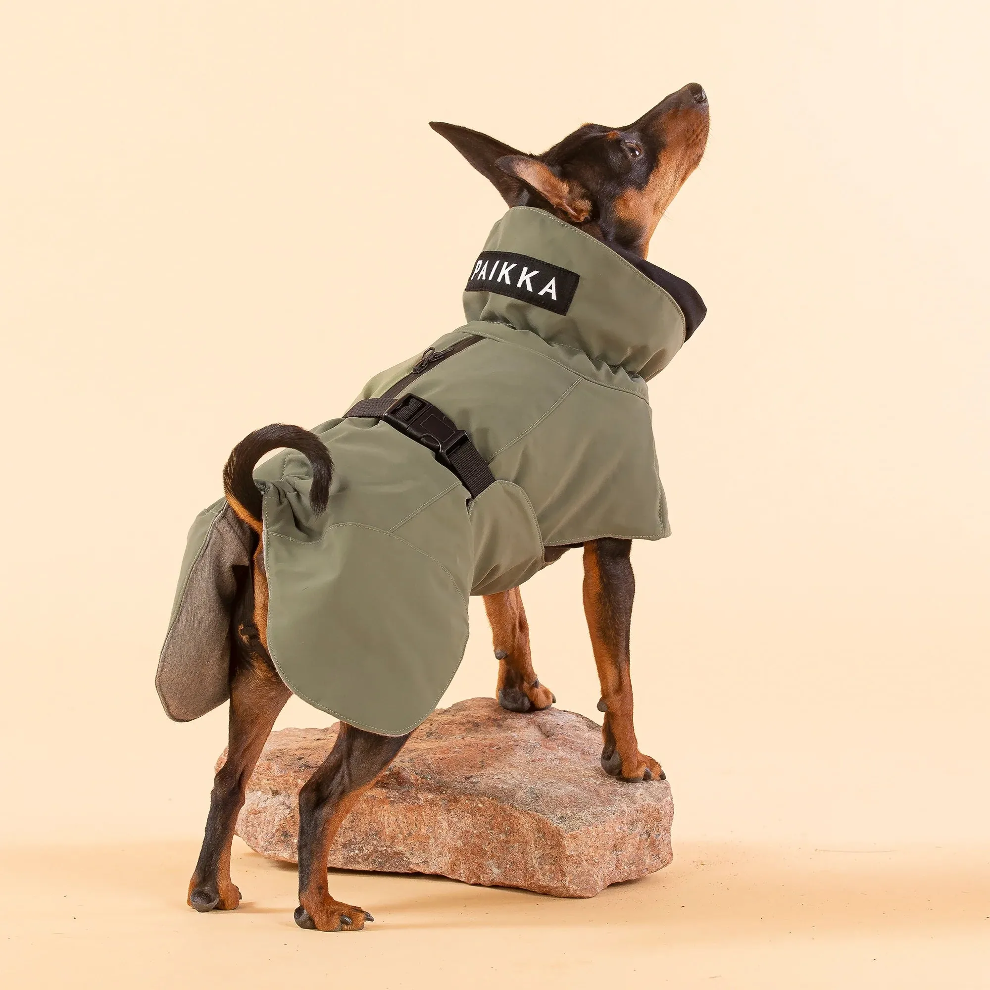 Paikka - Reflective Dog Coat