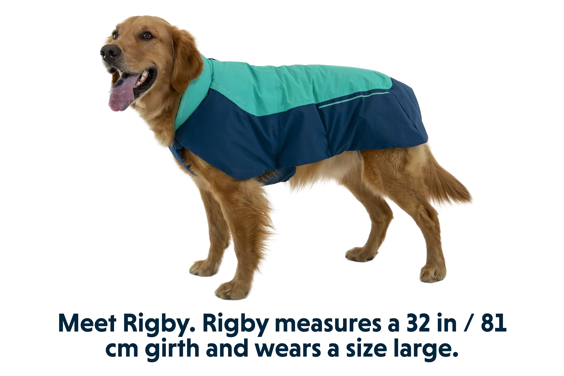 Vert™ Winter Dog Coat