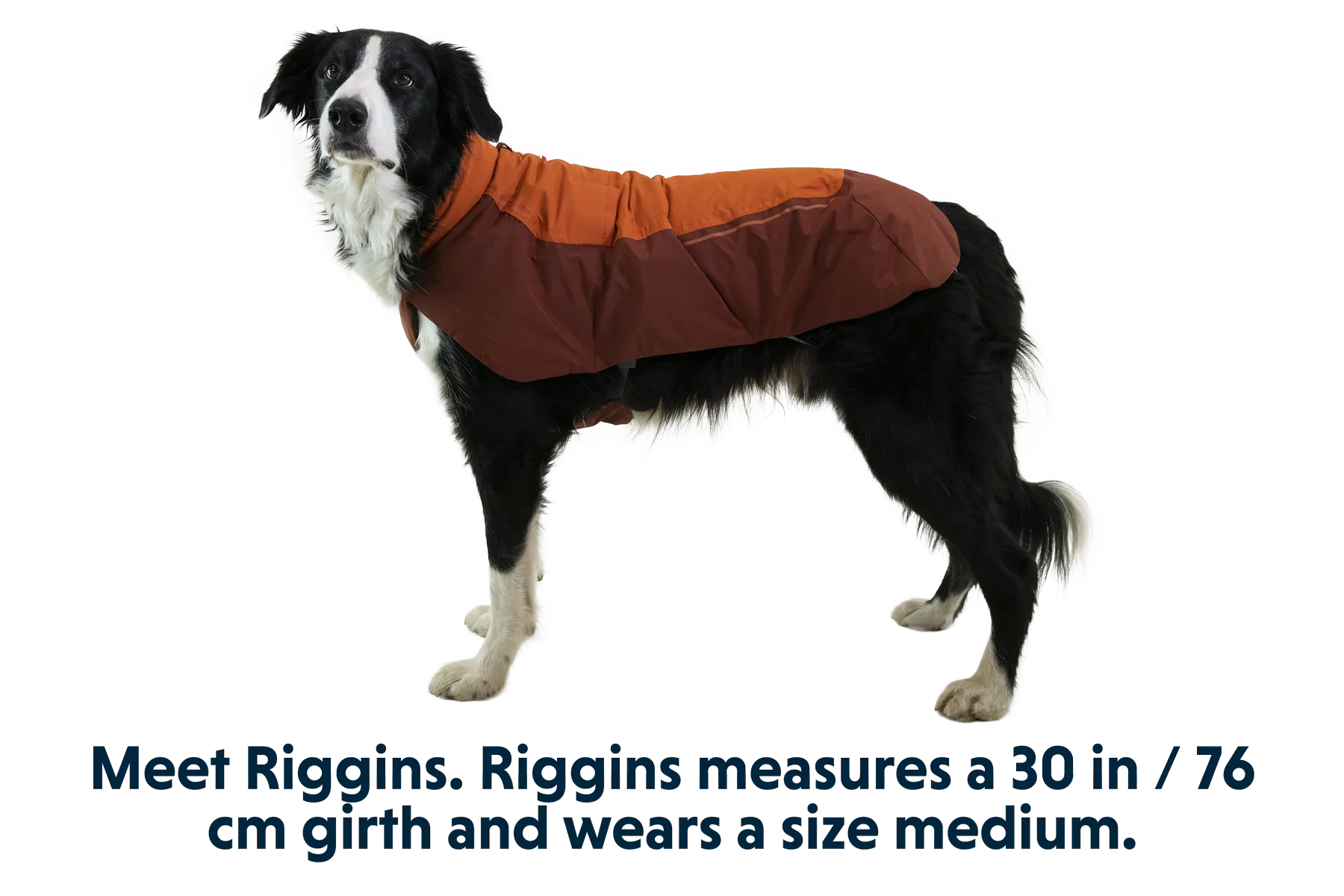 Vert™ Winter Dog Coat