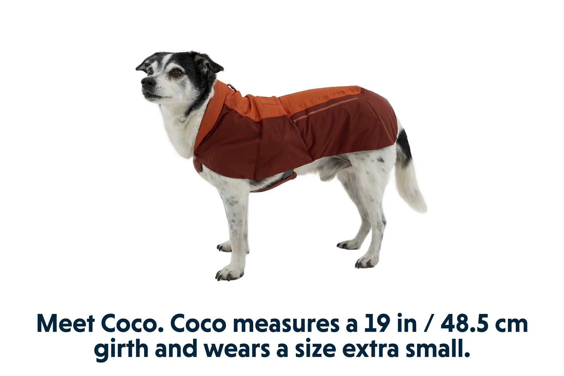 Vert™ Winter Dog Coat